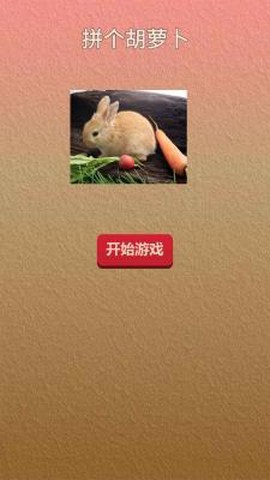 拼个胡萝卜[图2]