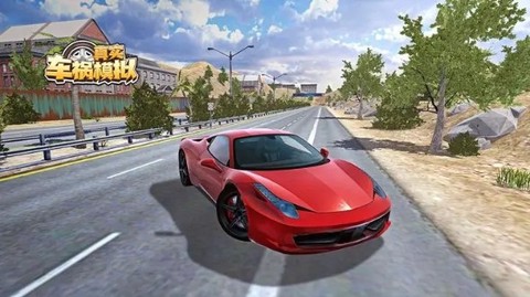 真实车祸模拟器[图1]