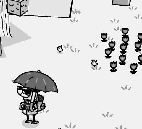 时间：摄影冒险[图6]