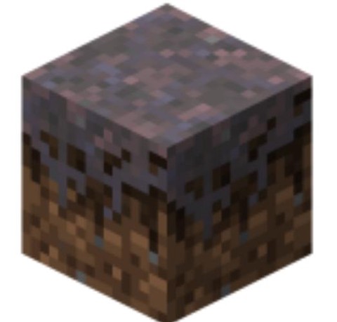 我的世界菌丝怎么得[图2]