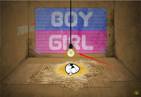 养只宠物球[图1]