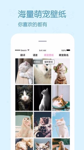 影盟宠物翻译器图3