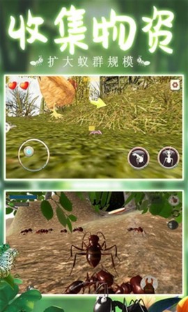 模拟蚂蚁大作战图1