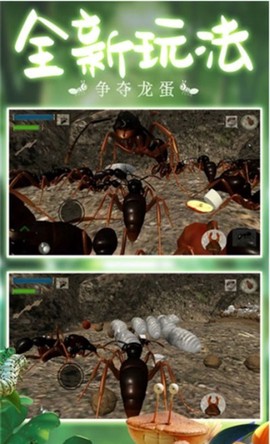 模拟蚂蚁大作战图2