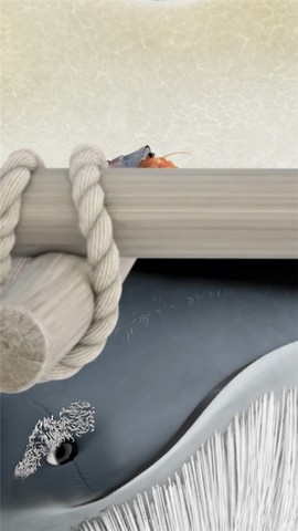 行走的老鲸鱼图3