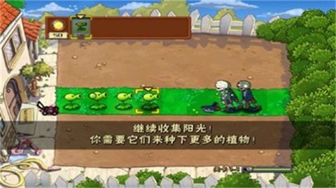 植物大战僵尸升天版图2