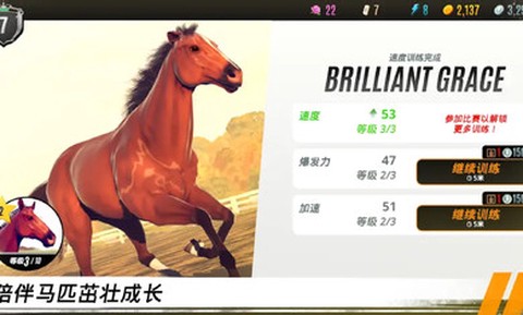 家族传奇马匹养成竞技图2