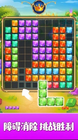 宝石大掌柜[图1]