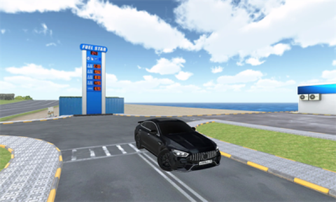 温加尔比驾驶模拟图3