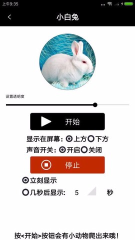 整人宠物恶作剧图3