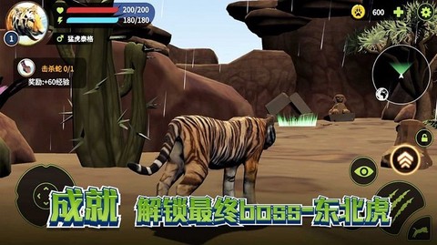 老虎生存大作战[图1]