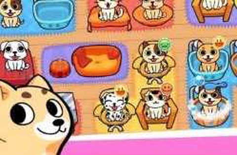 金谷宠物世界图2