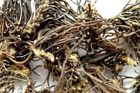 仙剑奇侠传找什么药材[图1]