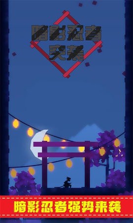 暗影忍者突袭图3