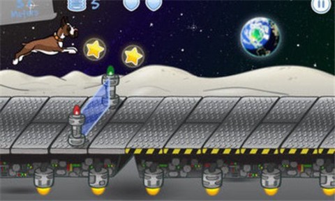 爱运动的小狗图1