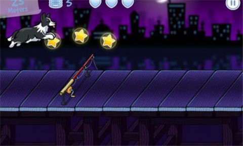 爱运动的小狗图2