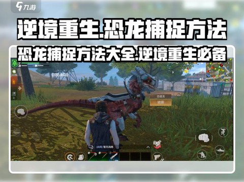 武林外传恐龙怎么抓[图1]