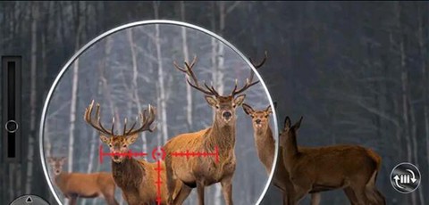 枪战突击王者图1