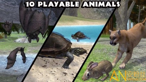 终极森林模拟器[图1]