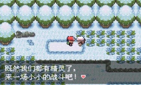 口袋妖怪最强进化[图1]