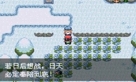 口袋妖怪最强进化图3