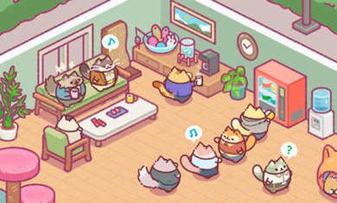 办公室的猫咪图2