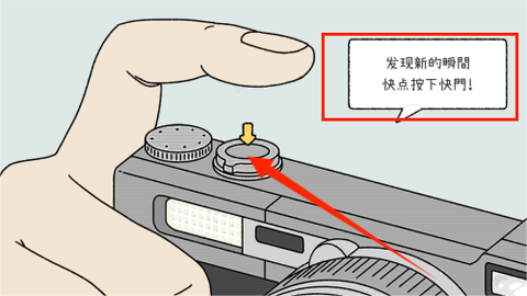 一起来养猫[图4]