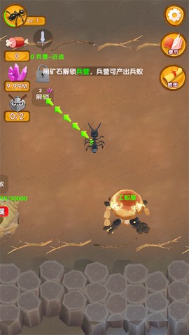 蚂蚁大冒险[图1]