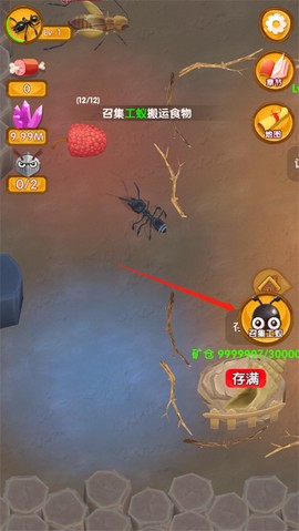 蚂蚁大冒险[图2]