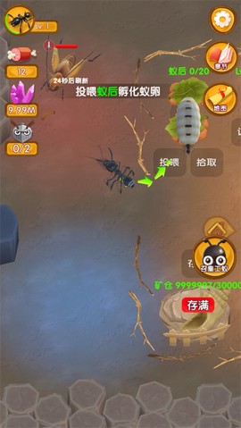 蚂蚁大冒险[图3]