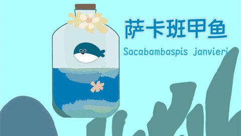 萨卡班甲鱼游戏[图1]