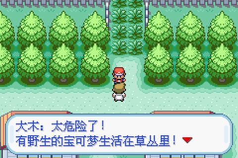 口袋妖怪红[图4]