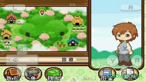 牧场物语双子村[图2]