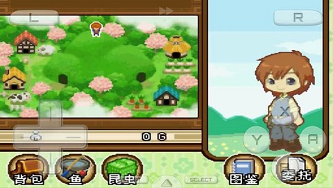 牧场物语双子村图2