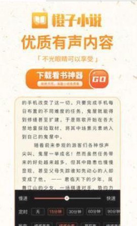 橙子免费小说图2