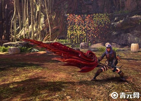 怪物猎人p3什么武器