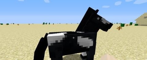 我的世界国际图1