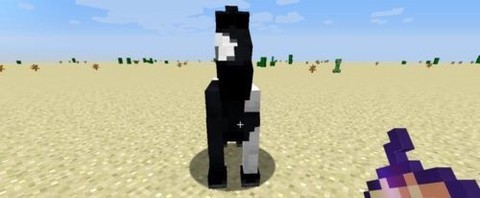 我的世界国际图2