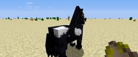 我的世界国际图3