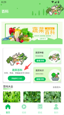 有机菜市场[图1]