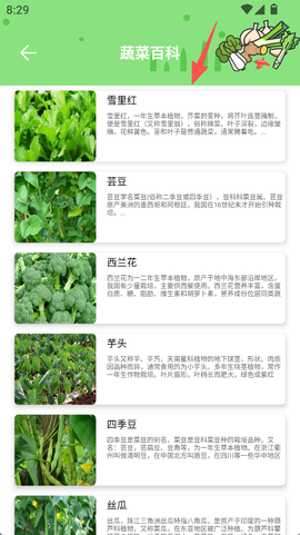 有机菜市场[图2]