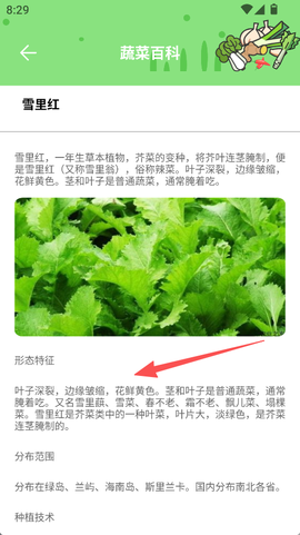 有机菜市场[图3]