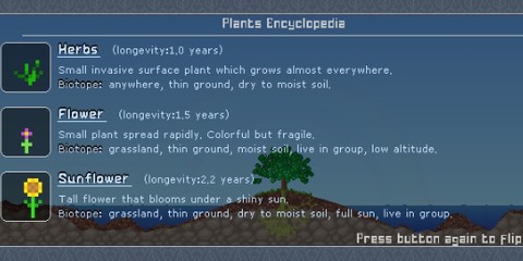 迷你生活世界[图1]