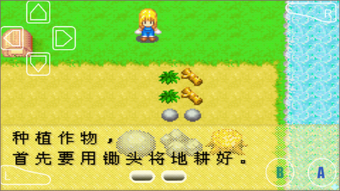 牧场物语女孩版[图1]