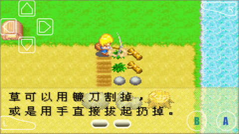 牧场物语女孩版[图2]