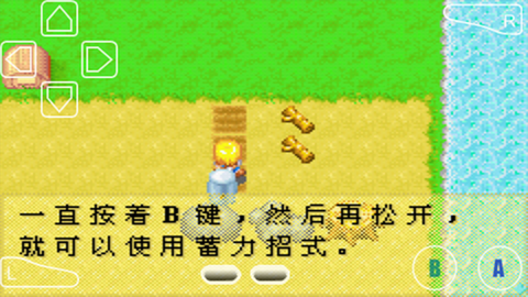 牧场物语女孩版[图3]