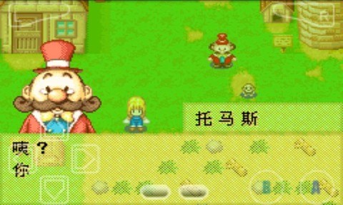 牧场物语女孩版图2