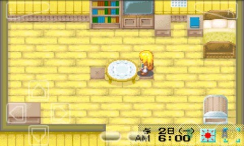 牧场物语女孩版图3