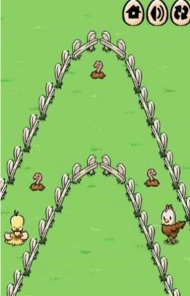 小鸡找妈妈图3