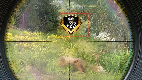 狩猎冲突中文最新版[图4]